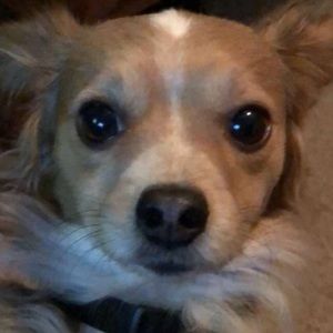 Meet your Posher, Judy